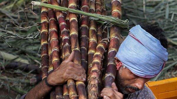The Supreme Court dismissed a public interest litigation (PIL) challenging the introduction of 20 per cent Ethanol-Blended Petrol (E20). A bench comprising Chief Justice of India (CJI) BR Gavai and Justice K Vinod Chandran delivered the order after the Central government opposed the plea, asserting that E20 fuel benefits sugarcane farmers. The Centre also questioned the credibility of the petitoner, advocate Akshay Malhotra, according to a report by Bar and Bench.
