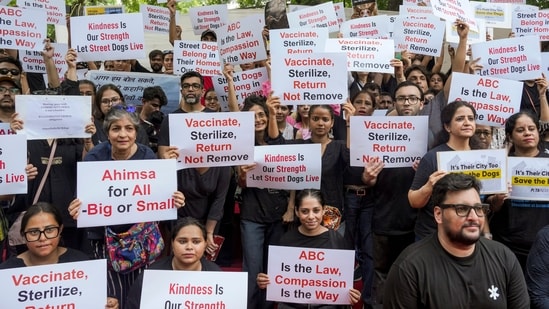 The Supreme Court is set to pronounce a verdict on Friday on an earlier order, which involved the removal of stray dogs from the Delhi-NCR region. This issue had become an emotional one for many. A three-judge special bench comprising Justices Vikram Nath, Sandeep Mehta, and N V Anjaria reserved its order in the matter on August 14. The final verdict is set to be announced today.