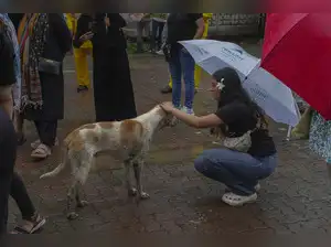 The Supreme Court modified its August 11 order on stray dogs, allowing only those infected with rabies or aggressive to be excluded from being released back after sterilisation and immunisation. The original order mandated relocating all stray dogs in Delhi-NCR to shelters, sparking protests.