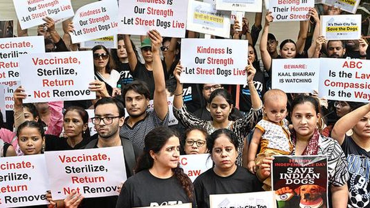 The Supreme Court on Friday (August 22, 2025) modified its earlier suo motu directive requiring civic authorities in Delhi and four adjoining districts to capture all stray dogs and confine them in shelters within six to eight weeks. Terming its August 11, 2025, order “too harsh”, the court directed that the animals be released into the localities from which they were captured, after undergoing sterilisation, deworming, and immunisation.