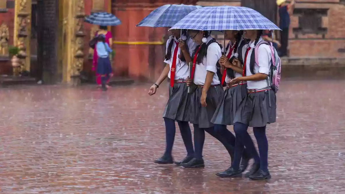 The Tamil Nadu government on Monday advised managements of schools to take precautionary measures to protect the students during the monsoon, as schools across the State reopened today after the quarterly exam vacation. The quarterly exams were held from September 10 to 26.The Tamil Nadu government on Monday advised managements of schools to take precautionary measures to protect the students during the monsoon, as schools across the State reopened today after the quarterly exam vacation. The quarterly exams were held from September 10 to 26.Meanwhile, the State government will conduct admissions for the academic year 2025-26 from October 6 to 17 under the Right to Education Act, following the release of ₹450 crore funds by the Centre for reimbursing the tuition fee for students enrolled in the private schools, under the Act.Published - October 06, 2025 05:53 pm IST education  /  school  /  Monsoon  /  Tamil Nadu The Tamil Nadu government on Monday advised managements of schools to take precautionary measures to protect the students during the monsoon, as schools across the State reopened today after the quarterly exam vacation. The quarterly exams were held from September 10 to 26.