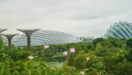 Indian influencer Tanya Khanijow's viral video sparks a massive debate on why Singapore 