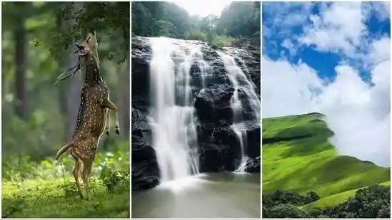 The upcoming Diwali weekend in 2025 offers an extended break, with celebrations on Monday, October 20, making it the perfect time for a quick escape. If you live in Bengaluru, you can leave behind the city's hustle and unwind in serene, scenic destinations nearby. The region around Bengaluru is dotted with misty hills, lush greenery, and tranquil lakes, ideal for trekking, camping, and reconnecting with nature.The upcoming Diwali weekend in 2025 offers an extended break, with celebrations on Monday, October 20, making it the perfect time for a quick escape. If you live in Bengaluru, you can leave behind the city's hustle and unwind in serene, scenic destinations nearby. The region around Bengaluru is dotted with misty hills, lush greenery, and tranquil lakes, ideal for trekking, camping, and reconnecting with nature.From the coffee-scented hills of Coorg and Chikmagalur to the charming landscapes of Ooty, Wayanad, and Kabini, these getaways promise peace and adventure. We have shortlisted eight such destinations that combine natural beauty, outdoor activities, and relaxation, perfect for a refreshing Diwali long weekend amidst India's south Indian splendour.