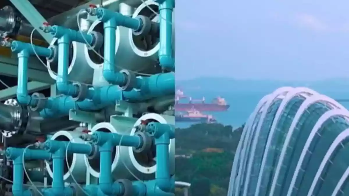 An Indian travel influencer recently amazed netizens with some surprising insights about Singapore. In her video, she highlighted the city-state's lush