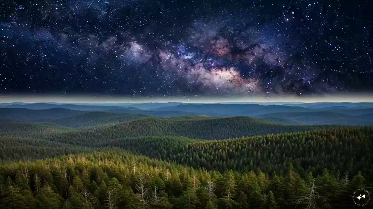 If you tried to count every tree on Earth, you’d run out of time long before you even got close — but here’s the surprising part: there might actually be