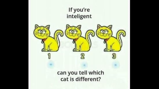 Think you’ve got great eyesight? Try solving this brain teaser. Brain teasers are fun puzzles that make you think in a different way. Some brain teasers are about numbers, some use words, and others are all about spotting the difference. They test your thinking, memory, and attention to detail. People love solving brain teasers because they are short, clever, and make your brain feel sharper.