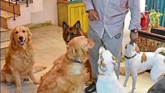 This is the story of Sultan, Begum, Nawab, Saheb, Sultana, Sahiba, Sundari, Anokhi, Singhye, and Nacho Libre. They are the dogs who have been part of our family over the last three decades and the source of immense joy, laughter, solace, comfort—and grief—when they pass on.