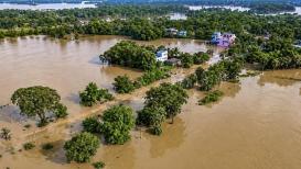 <h4>Three killed in separate wall collapse incidents in Odisha amid heavy rainfall</h4><h4>Odisha recorded 1,154