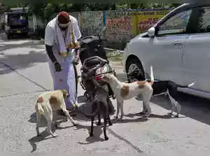 Three new dog shelters planned in Delhi