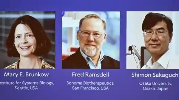Three scientists have been jointly awarded the Nobel Prize in Physiology or Medicine for their pioneering discoveries concerning the immune system. These findings have opened up new avenues for research and the development of therapies for cancer and autoimmune diseases.Three scientists have been jointly awarded the Nobel Prize in Physiology or Medicine for their pioneering discoveries concerning the immune system. These findings have opened up new avenues for research and the development of therapies for cancer and autoimmune diseases.The Nobel Assembly at the Karolinska Institutet in Stockholm announced on Monday that Mary E. Brunkow, Fred Ramsdell, and Shimon Sakaguchi will share the 11 million-krona ($1.2 million) prize.<h4> </h4><h4><strong>2025 Nobel Laureates in Medicine: All you need to know</strong></h4><strong>Mary E. Brunkow</strong> (US): She holds the position of Senior Program Manager at the Institute for Systems Biology in Seattle, US. She and Fred Ramsdell were credited with the key discovery of the FOXP3 gene, which shows that a mutation in this gene causes a severe autoimmune disease (IPEX) and is crucial for Treg cell function.