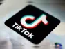 's social media platform on Tuesday made a last- ditch attempt at Europe's top court to scrap its designation as a 