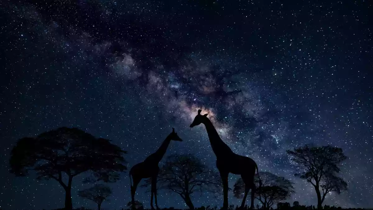 Tired of looking at gloomy, cloudy skies during the Indian monsoon season? Now you can trade them for clear, starry nights in the coming months. Here are the best spots in the world to see the Milky Way in all its glory. All you need to carry is a curious mind and some warm clothes.