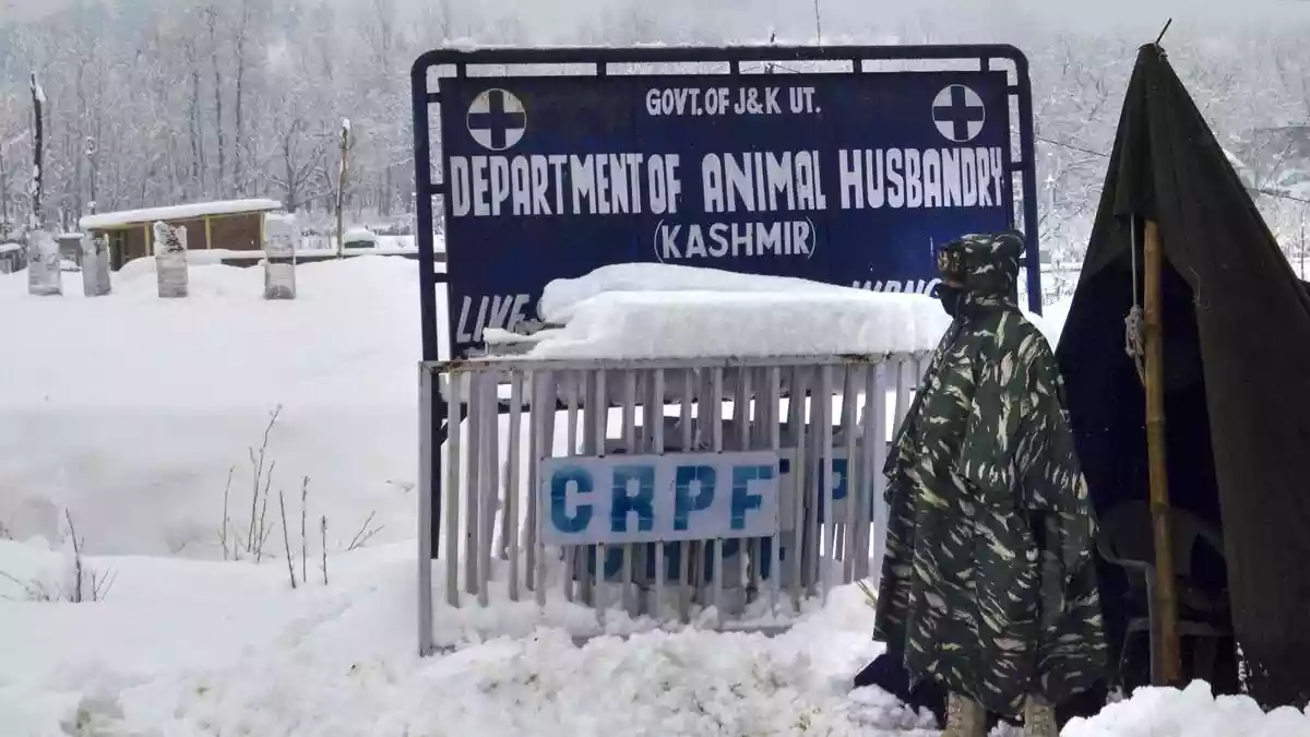 The Central Reserve Police Force (CRPF) has established 43 temporary operating bases in Jammu and Kashmir (J&K), at altitudes between 3,000 feet and 6,000 feet