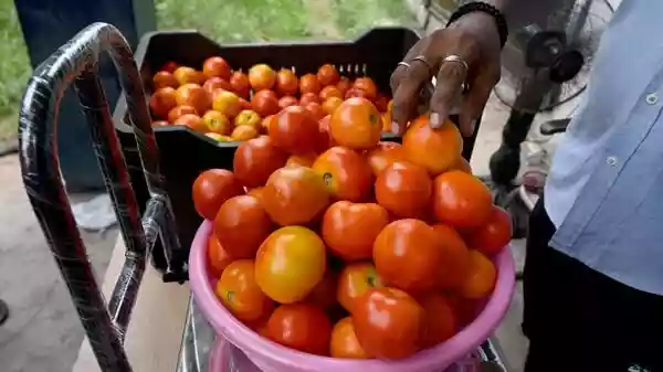 Tomato prices soar to ₹80