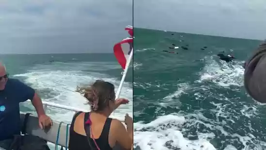 Tourists were forced to watch helplessly after their luggage was swept out to sea during a ferry ride in Thailand. Alice Zamparelli