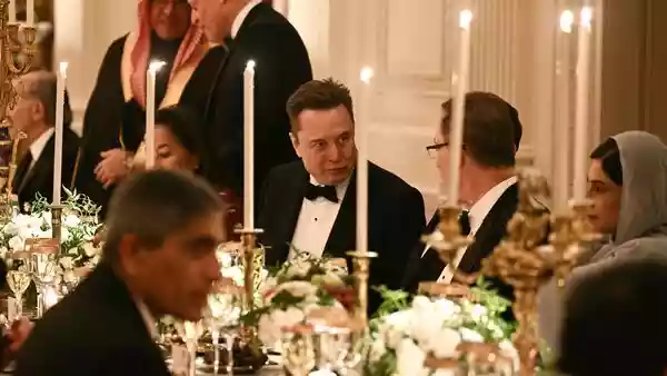 Trump's friendly pat to Musk during White House dinner goes viral - Watch