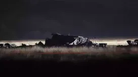 All 20 personnel on board a military cargo plane that crashed in Georgia were killed, Turkey's Defense Minister announced on Wednesday (November 12, 2025)