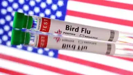 A Washington State resident has bird flu, and it's a different type than what was seen in previous infections, State health officials said on November 15, 2025