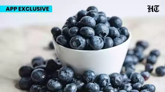 UK nutritionist explains the best blueberry option to buy for maximum benefits