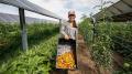 <h4>Understanding Agrivoltaics, Aston Martin Valen and Lava’s new budget smartphone</h4><h4>Beyond the regular noise