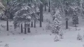 US weather alert: A major winter storm will affect the northern Plains and the Midwest on Friday and bringing with it bring moderate to heavy accumulation of