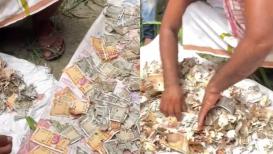 A woman in Uttar Pradesh was left shocked after she opened a trunk, where she had saved money over the years. She had saved nearly 12 lakhs