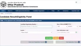 <strong>UPSSSC PET Result 2025:</strong> The Uttar Pradesh Subordinate Services Selection Commission (UPSSSC) has announced the PET Result 2025