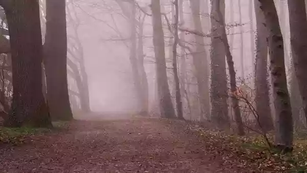 The National Weather Service (NWS) has issued a series of urgent weather warnings across the United States, as dangerous cold, snow