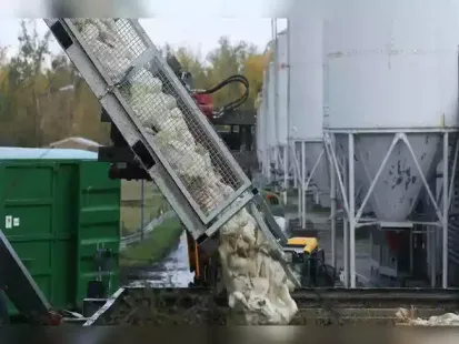 A Washington man has contracted the H5N5 bird flu strain, a first for humans. He is the first person to be diagnosed as having avian flu in the United States