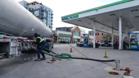 The Donald Trump administration is not considering any restrictions on oil exports, a US official said on Thursday, even as Washington grapples with rising