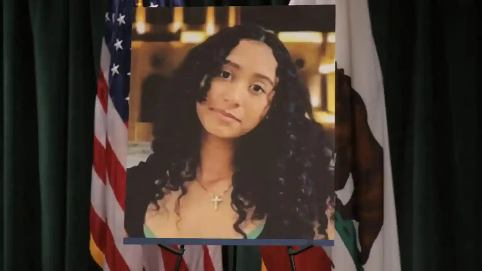 US musician D4vd has pleaded not guilty to charges of first-degree murder in the death of a teenage girl who vanished last year. The star