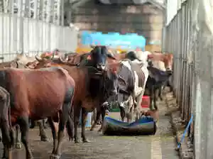 Uttar Pradesh government installs CCTV monitoring in over 4