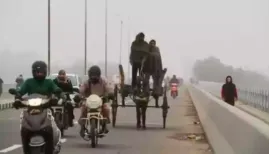 <strong>J-K Weather Update: Jammu and Kashmir is facing intense cold with sub-zero night temperatures across the Valley and a sharp 96 per cent rainfall