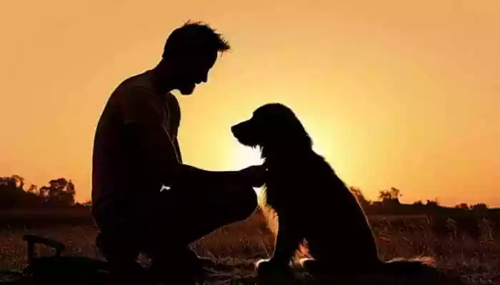 Video shows owner breaking down after pet dog’s death