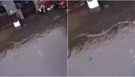 Shocking viral footage shows a massive reticulated python in Bali floodwaters as historic rains hit the island in 2026. Get the latest BMKG weather alerts for
