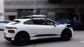 A corner store cat, known as KitKat, died after being hit late Monday night near Randa's Market on 16th Street. Initial eyewitness claims said a Waymo car was