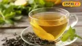 In the world of weight loss, it’s easy to get caught up in quick fixes and trending hacks. But sustainable results rarely come from extremes