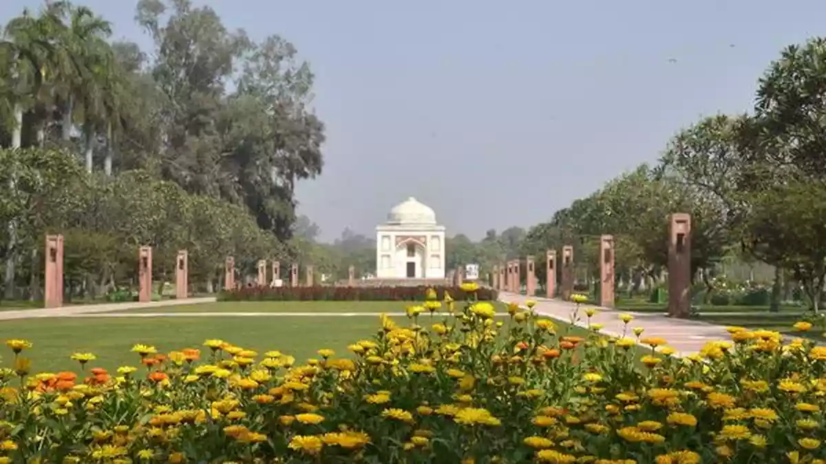 What Delhi’s wilderness says about the city’s politics