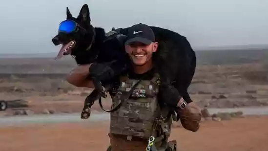 What is K9 Veterans Day