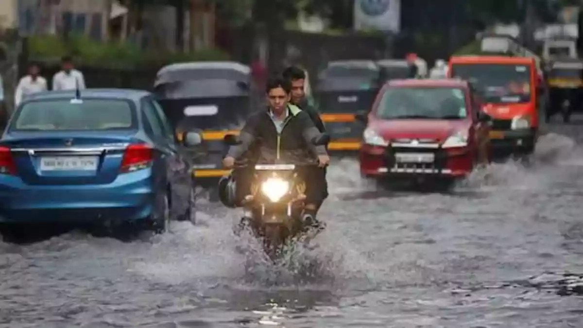 What Is NCDEX RAINMUMBAI