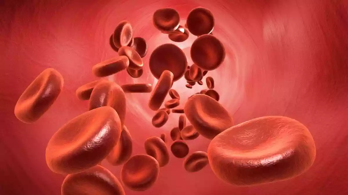 What Is Thalassemia And How It Affects Children And Families