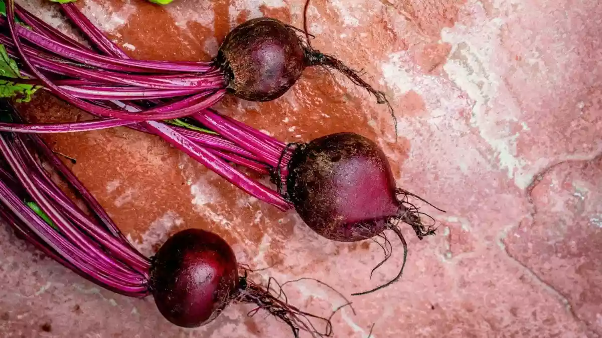 What Makes Beetroot The Perfect Winter Superfood For Immunity