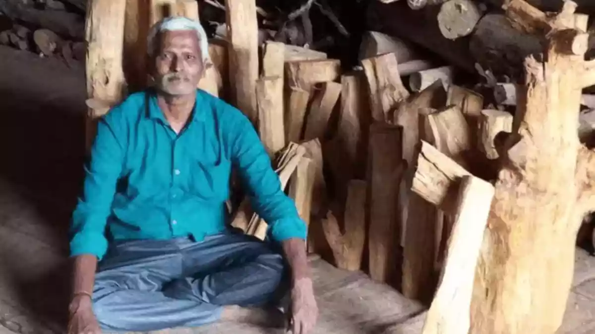 When A 40-Year-Old Tree Fell