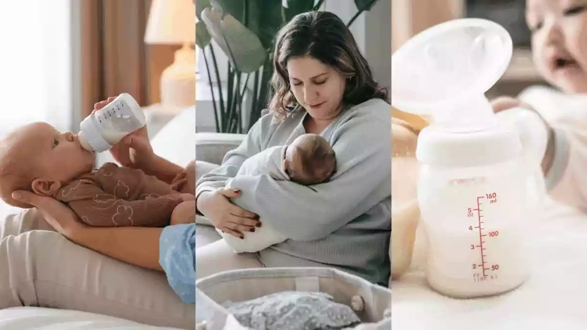 Which Feeding Method Is Best For Babies