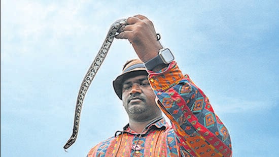 While some calls come from corporate offices, others are from pedestrians, gardeners, and construction workers, said a rescuer MUMBAI: Bandra-Kurla Complex, one of the prime business hubs in the city, is known for grappling with human-versus-wildlife conflict. The 41 pythons rescued from the vicinity in June only hint at a rampancy in recent years.