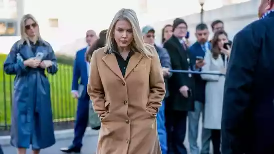 Bruna Caroline Ferreira shares an 11-year-old son with Michael Leavitt, the brother of White House Press Secretary Karoline Leavitt. Ferreira was detained by U