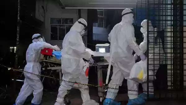 The World Health Organization (WHO) said on Friday that the risk of the deadly Nipah virus spreading from India is low. It also stated that it does not