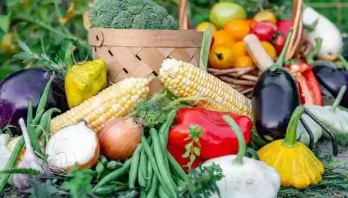 Why Does Malnutrition Remain 