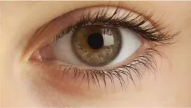 In an age where screens dominate our work, learning, and even leisure, eye health has quietly become one of the most overlooked pillars of overall wellbeing