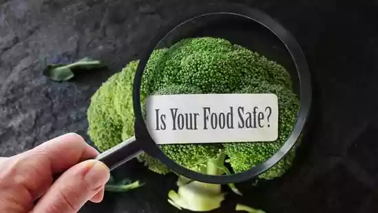 Editorial independence is core to our work. Some links may earn us a commission, without influencing our opinions.<h4>World Food Safety Day: Why food
